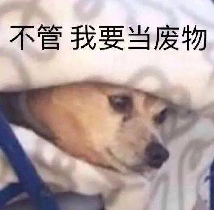 一转眼,2020上半年已经结束啦
