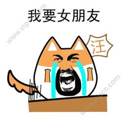 2017情人节单身狗表情包下载2017情人节单身狗表情包gif图片v1.0下载清风安卓软件网
