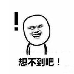 养了一只柴犬,每次带出去遛都很嫌弃我妈不让我和傻子玩