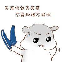 节气将迎霜降,华理雨过入深秋