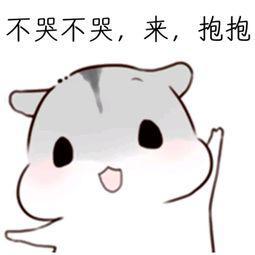 有没有表示安慰对方,心疼对方的表情包