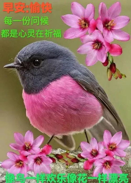 5月31日周六清晨早上好问候表情图片2020最新早安问候语动态图片