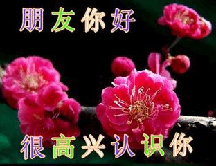 早上好,送你一首夏天的思念愿你清凉一夏