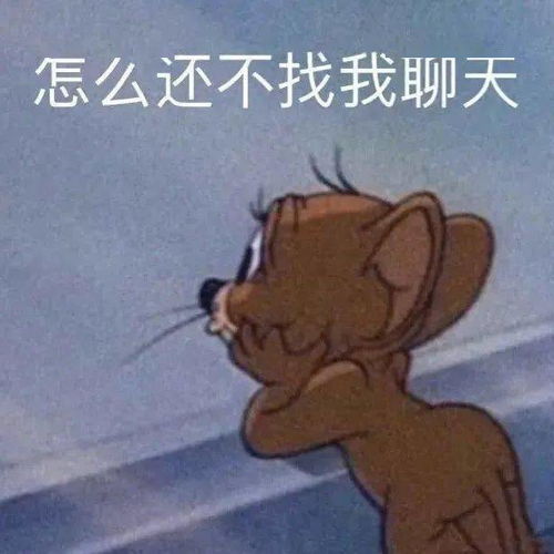 表情包动图事已至此,先吃饭吧