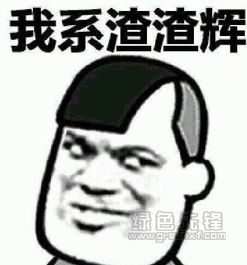 我系渣渣辉完整版表情包我系渣渣辉什么梗表情图片免费版软件下载