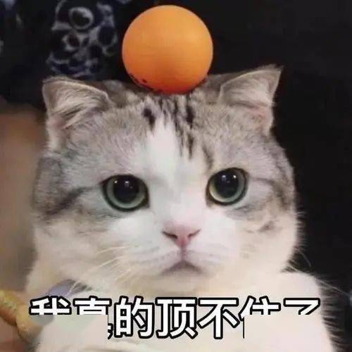 生旧叉烧都好过生你...广州阿妈的经典金句,句句扎心