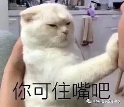 英国18所高校出台网课政策,9月的你选网课还是defer