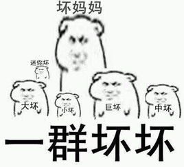 千万别让老年人碰微博b站这些东西,会学坏的