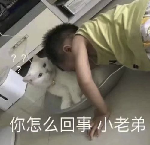 网吧一年倒闭超12000家80后的青春记忆00后不买账了