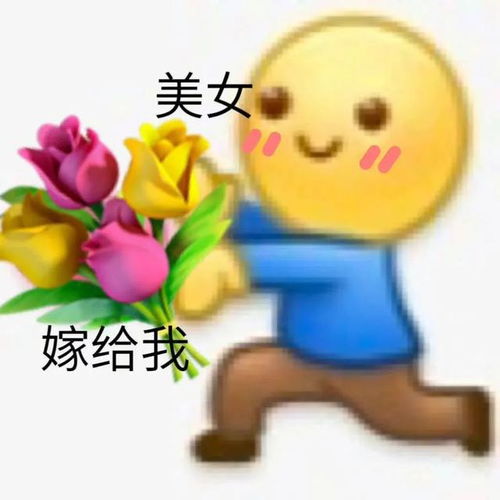 美女嫁给我表情包