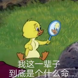 老公帮忙带娃的家庭,最后都怎么样了