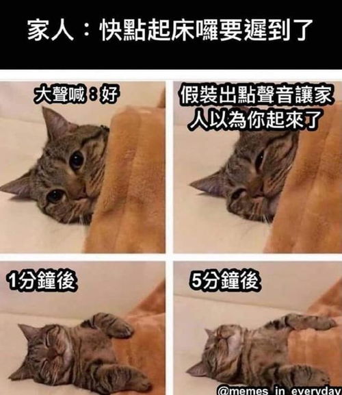 生活中那些真实的事情条条中招