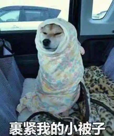 拔腿毛表情包寒潮