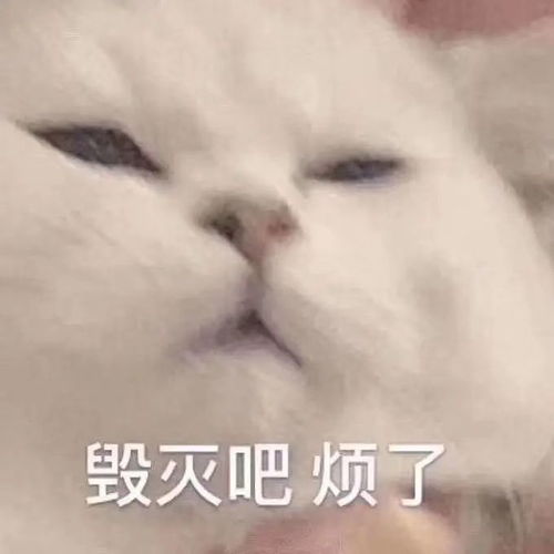 吊打黑镜纸牌屋,网飞第一神剧来了