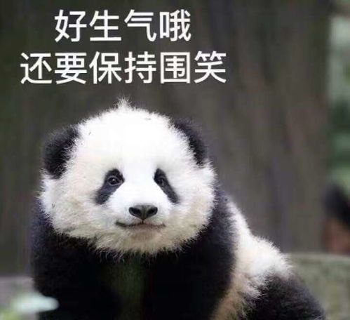 每周一信3