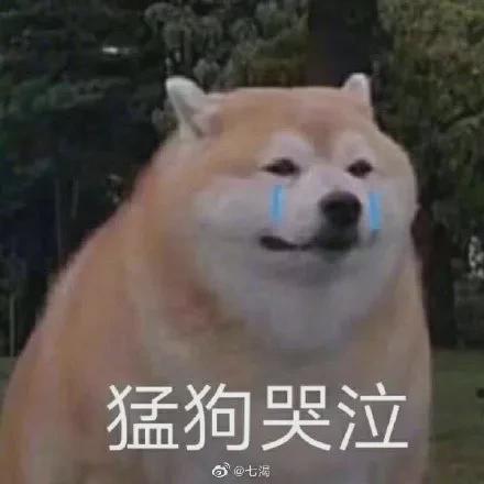 未来的公公竟是妈妈的初恋真小说照进现实,果然缘分妙不可言