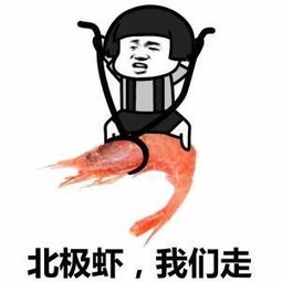 幽默笑话女神看了我很久,然后说羊骑在你身上就是一个字