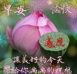 12月2日问候早上好图片带字动态表情冬天天冷早上好图片问候祝福语句子