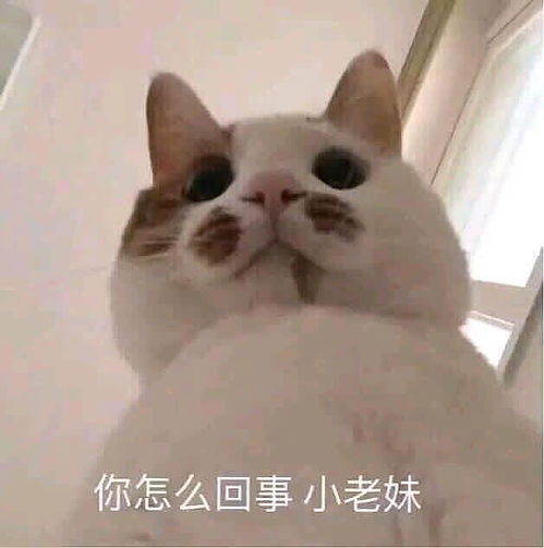 救救孩子小谭小谭后面接啥