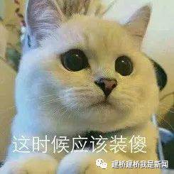 内心凌乱表情包