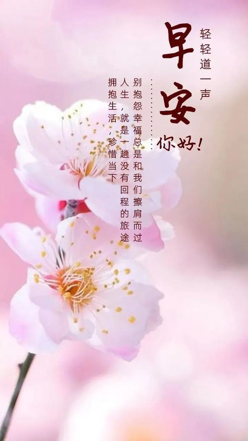 2021最美早安问候祝福动态表情图片最新漂亮冬季美女早上好动画表情包