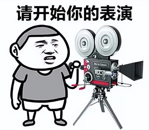 四川射洪被执行人p图履行多次欺骗法官你说刑不刑