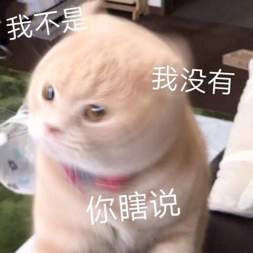 表情包分享hi要不要和我一起坠入爱河