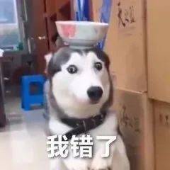 沙雕表情包图片感谢老铁支持