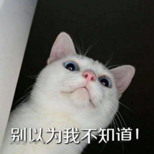 过来让我亲两口