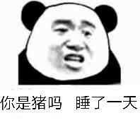 拍猪醒醒的表情包