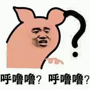 夏季灭蚊误区妙计