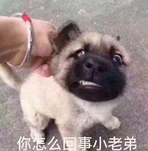 注意这真的不是段子2018年度20大喜感新闻不好笑算我输