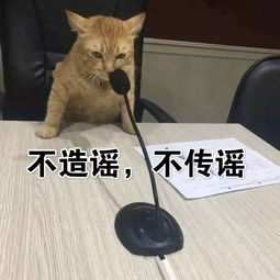 防控科普疫情期间别乱跑这些表情包快收好