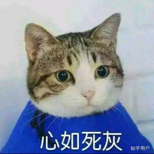 发型审美和父母不合怎么办