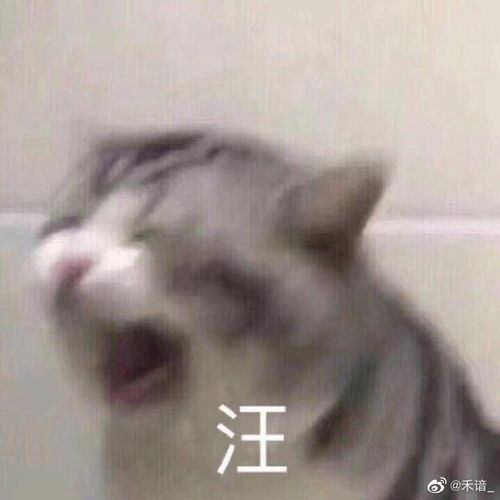 学校的麻辣香锅太咸了