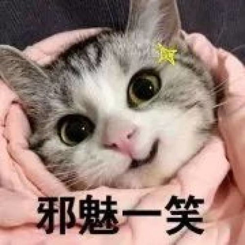 这些很火很萌的表情包,你还没有吧