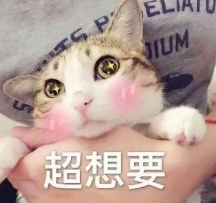 广州免费好玩的暑期活动大礼包来了快来报名