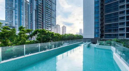 2024力迅西关雅筑最新官方通知楼盘简介房价户型交房配套