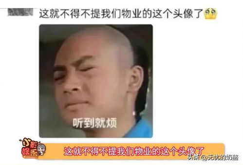 微信名表情包五阿哥