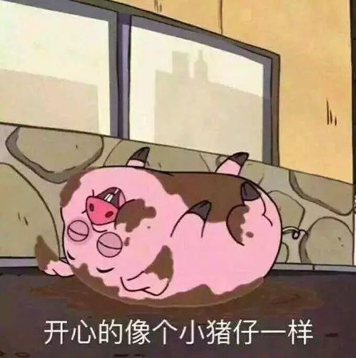 遇见嘿我的大学