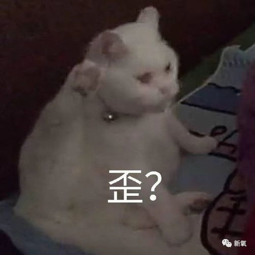 适合开头的表情包张飞