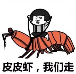 最长休渔期马上到你该咋办