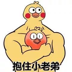 动态作品集