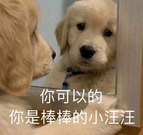 现在dai上荣耀什么价会有人接