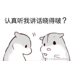 电电鼠表情包外卖