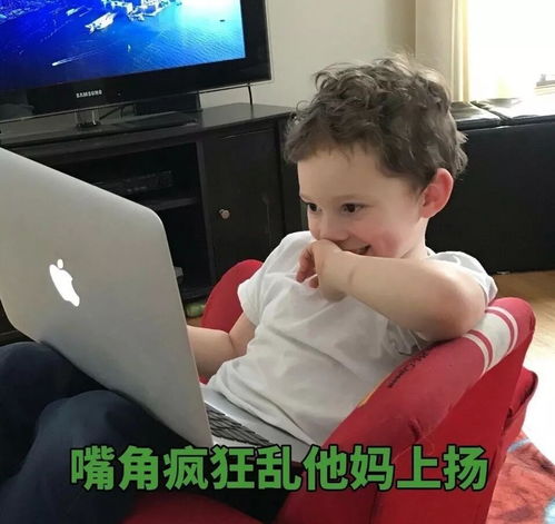 编剧这怼天怼地的人设,还挺带感的...
