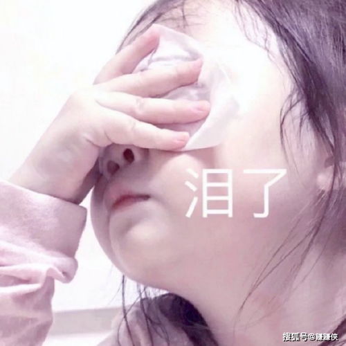 热门表情包图片有本事你来啊,别怕,他就是个弟弟