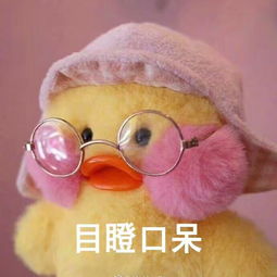 黄金脆皮鸡表情包小表情所以玻尿酸鸭你和堆糖,美好生活研究所