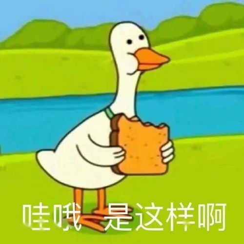 今日份表情包