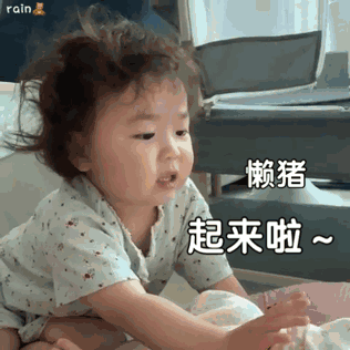黄夏温套路表情包懒猪,起床了